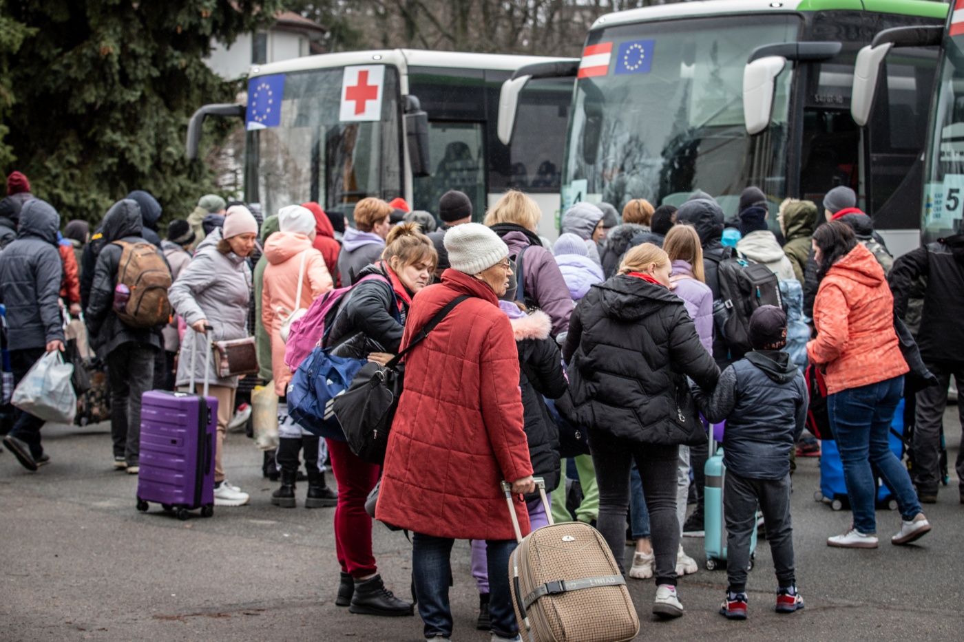 В Швейцарии хотят разрешить украинским беженцам изменить статус защиты на обычный вид на жительство