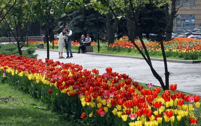 Тепло та сонячно, але без дощів не обійдеться: прогноз погоди на сьогодні