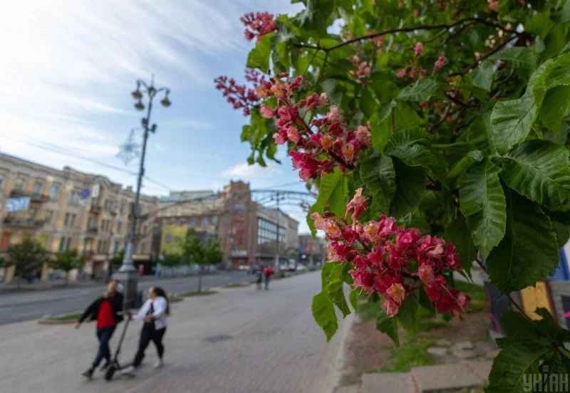 Метеоролог розповіла, коли до Києва увірветься літнє тепло