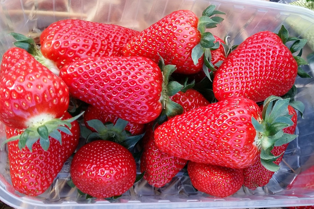 Можно ли есть клубнику при диабете: стоит ли употреблять в пищу ягоду при повышенном сахаре