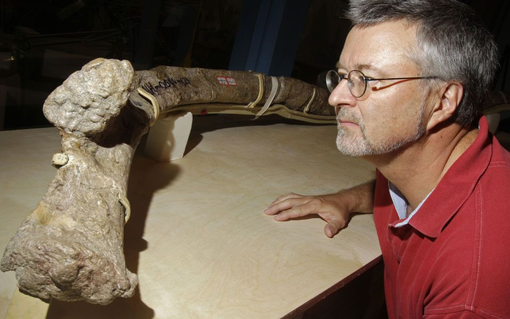 В Україні жили динозаври: під Кременчуком виявили скелет і гніздо з яйцями