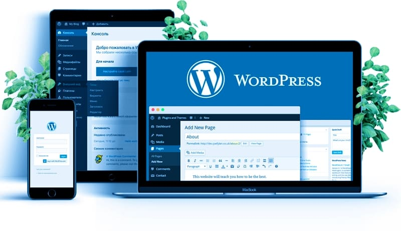 Особенности Wordpress-хостинга: как обеспечить оптимальную производительность