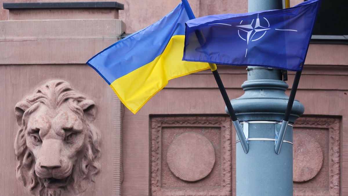 Украину просят не форсировать свое членство в НАТО в этом году, - The Telegraph