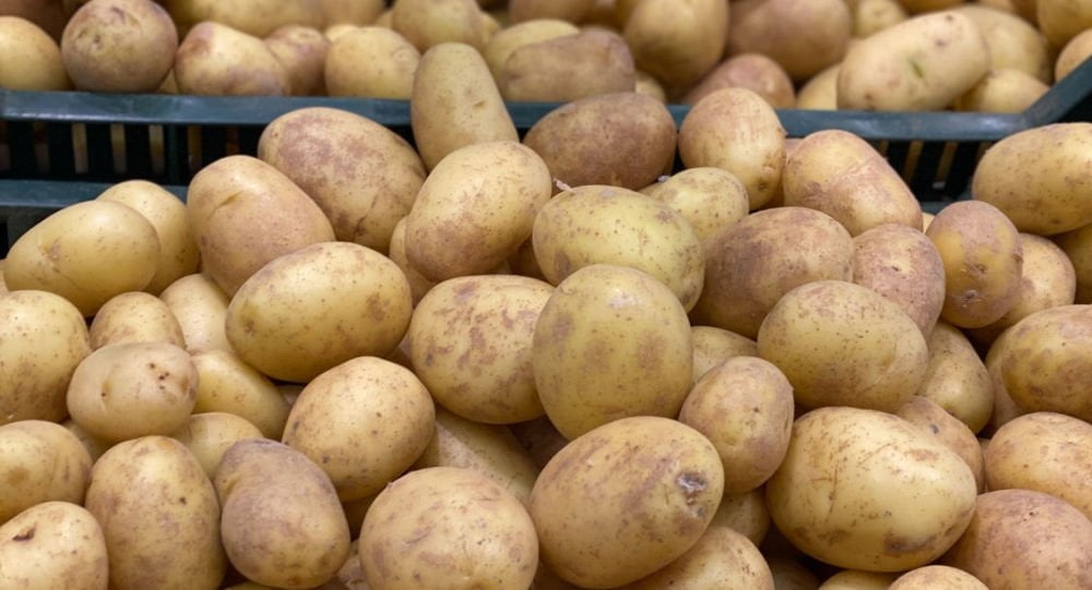 В этом году стоимость картофеля в три раза выше, чем в прошлом, - аналитики