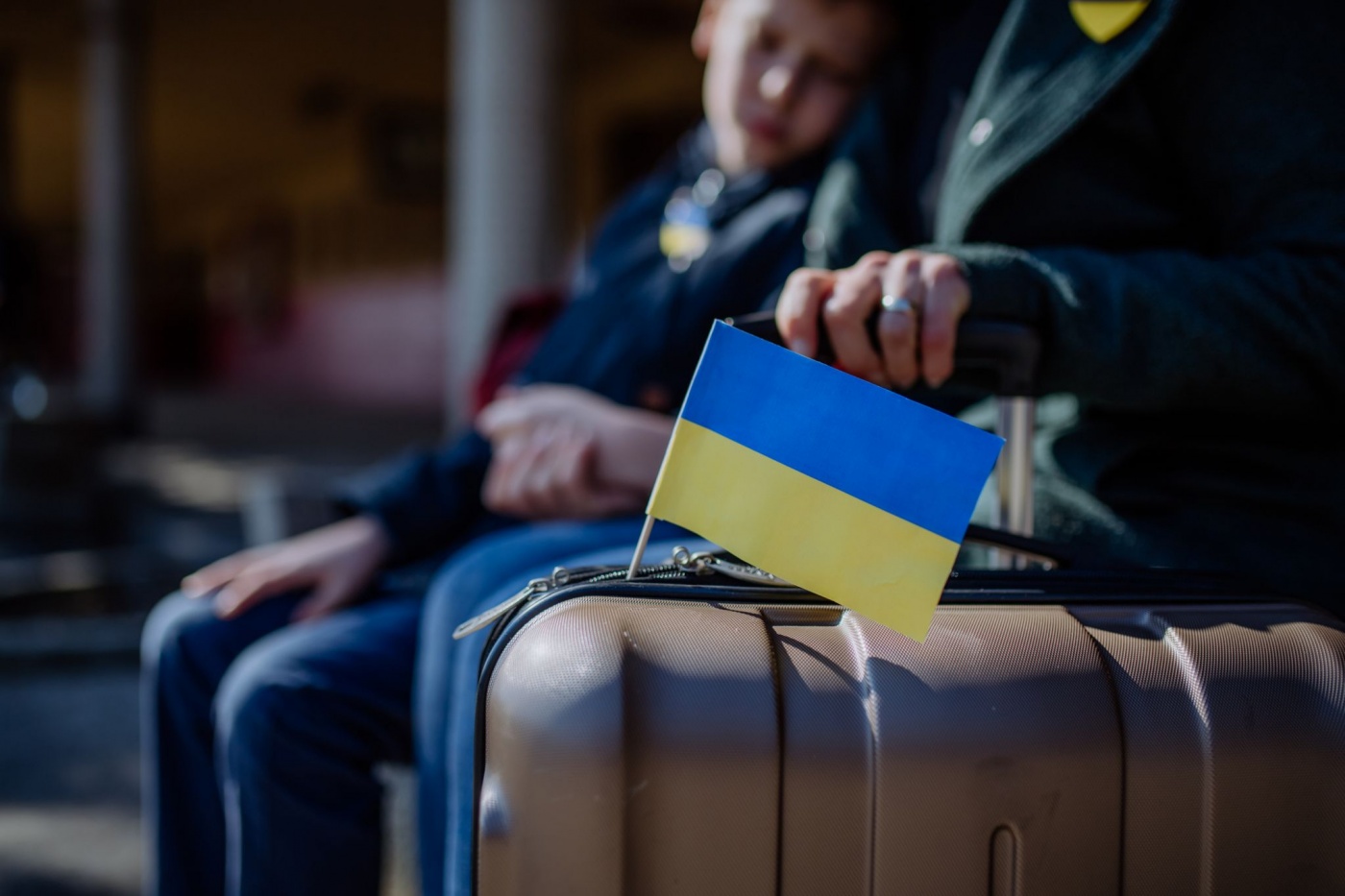 Социологи узнали, сколько украинцев за границей готовы получить гражданство другой страны
