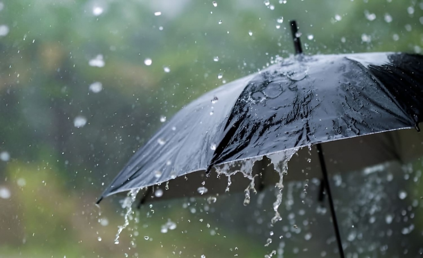 Дожди, местами с грозами: синоптики дали прогноз на сегодня