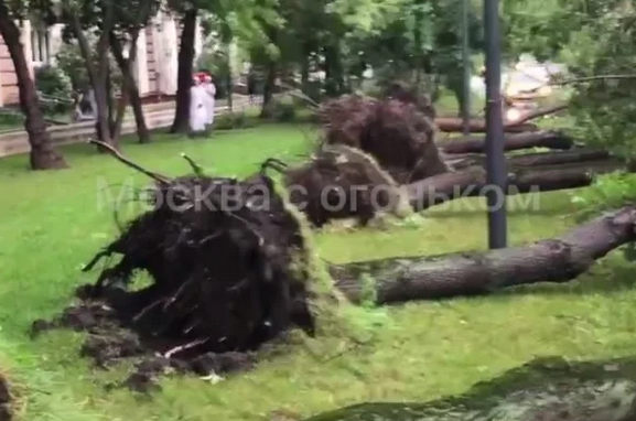 Погибшие и миллиардные убытки: Москву погромил ураган "Эдгар"