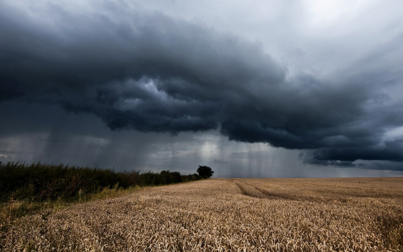 Экстремальная погода угрожает урожаю почти по всему миру: будет ли голод