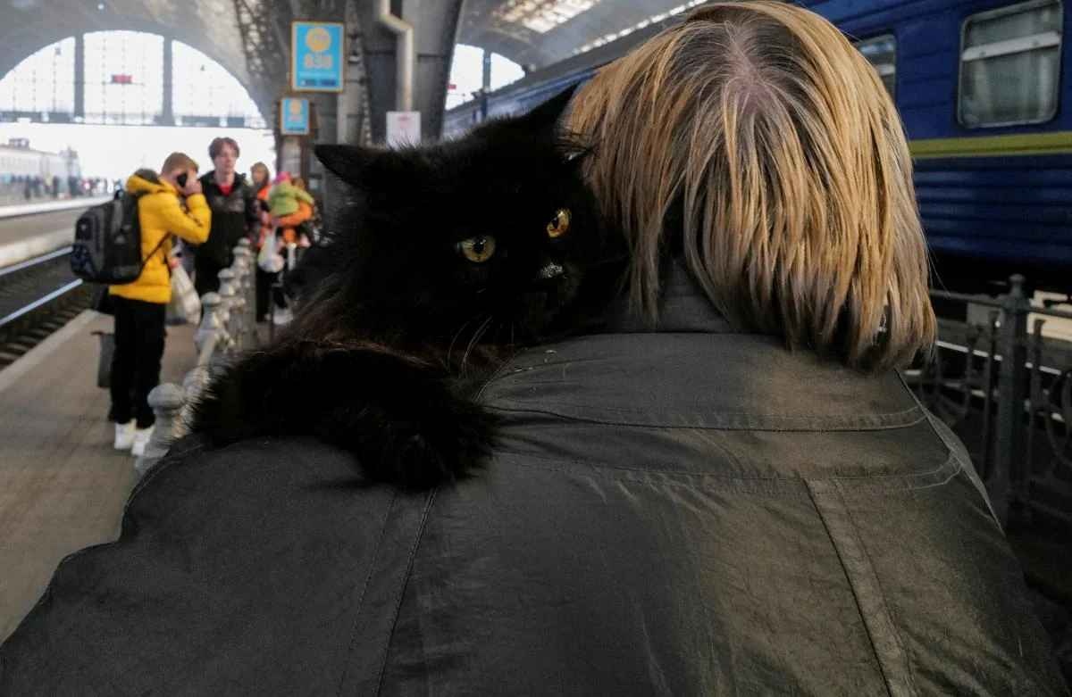 "Укрзализныця" инициировала обновление правил перевозки животных
