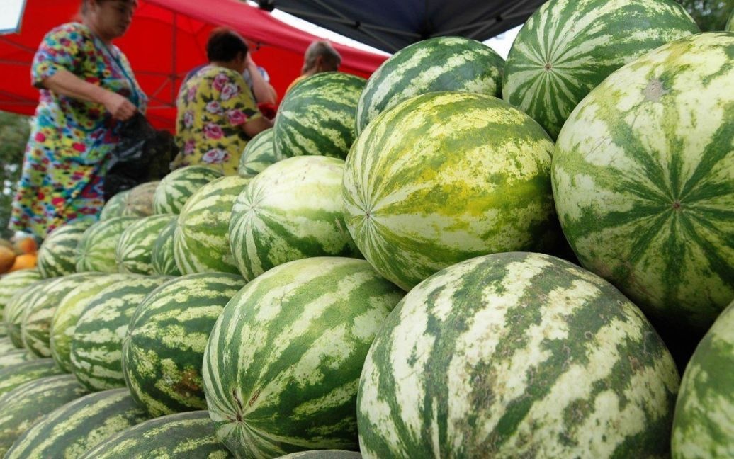 Ціни стрімко падають: виробники баштанних заявляють про низький попит на кавуни