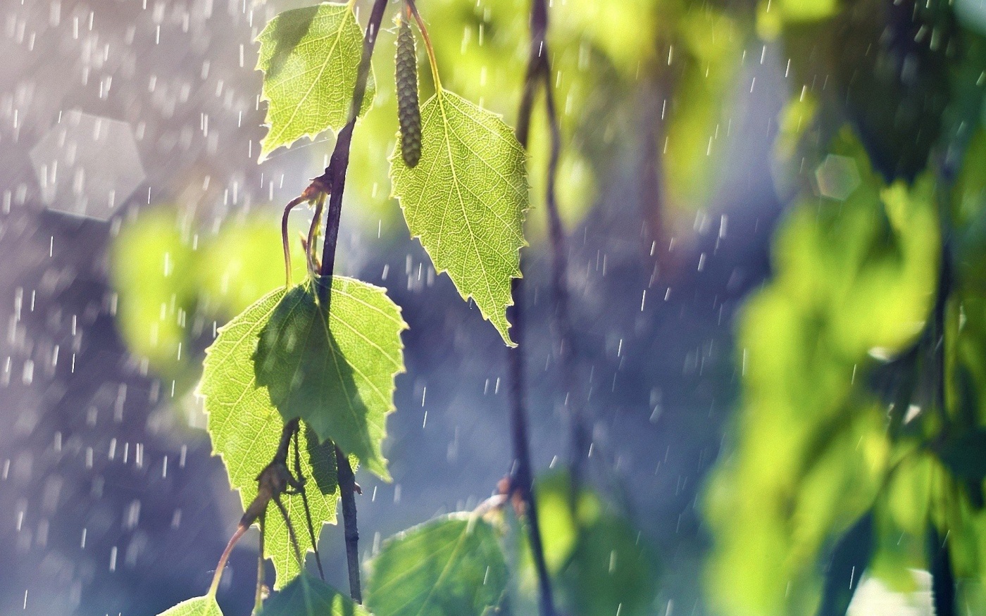 В большинстве областей пройдут грозовые дожди: где и когда будет лить
