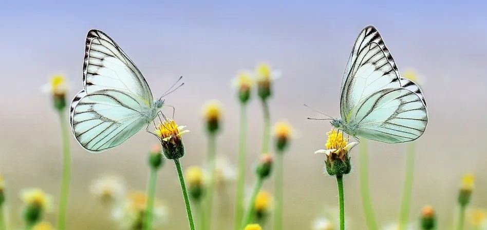 В четверг в Украине станет теплее, температура повысится по всей стране