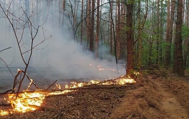 У Луганській області зафіксовано велику лісову пожежу, вогонь вже знищив понад 80 будинків