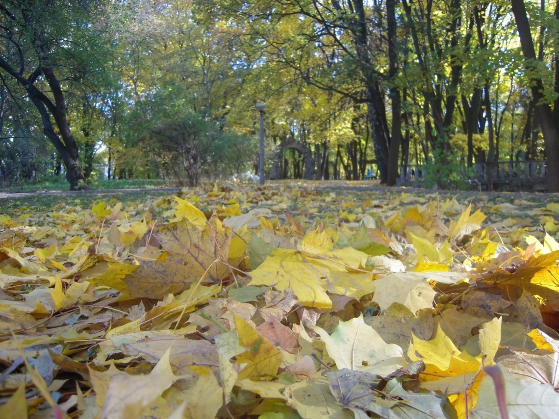 У Києві зафіксували нові температурні рекорди