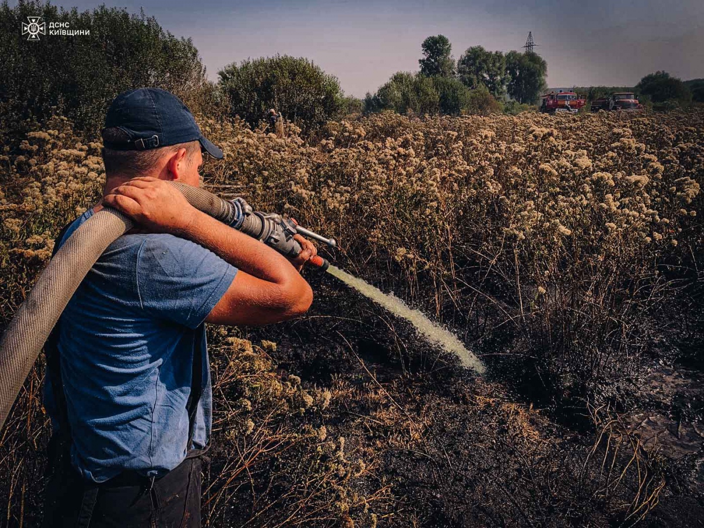 Рятувальники розповіли про пожежі на Київщині: де розташовані осередки загоряння