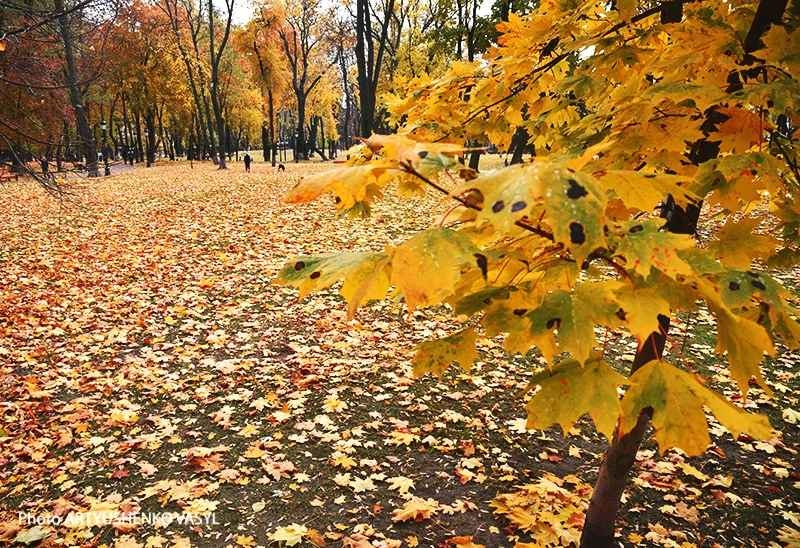 В атмосфері намітилася перебудова: синоптик пояснив, до чого готуватись