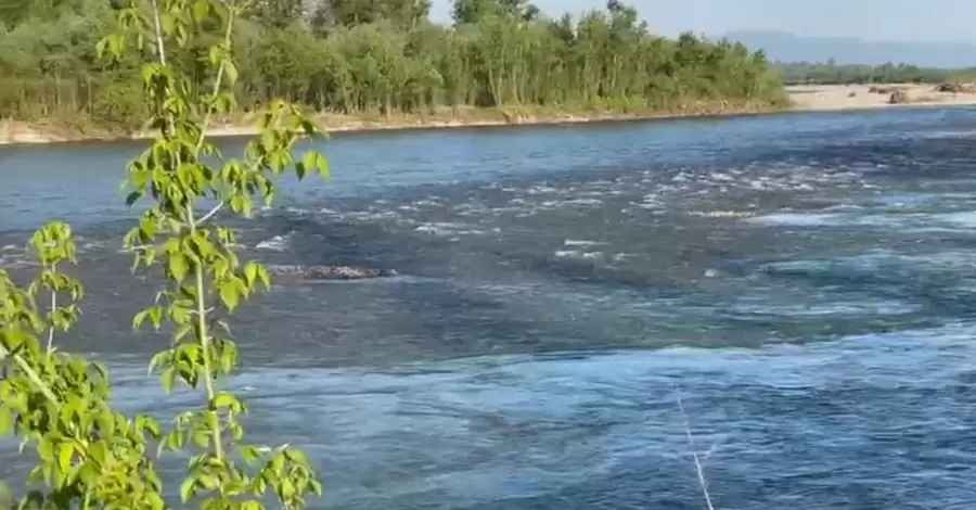 Пограничники сообщили, сколько украинцев погибло во время перехода границы