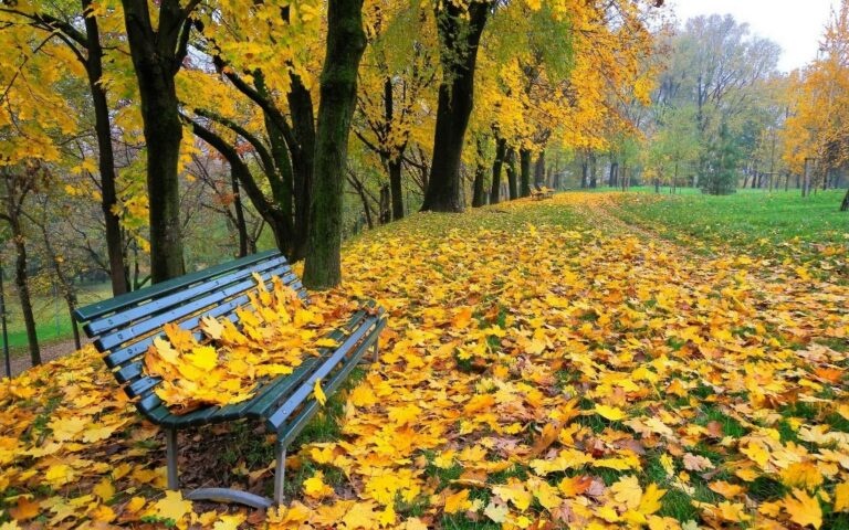 Много солнца и тепло: какие дни будут самыми комфортными в ближайшее время