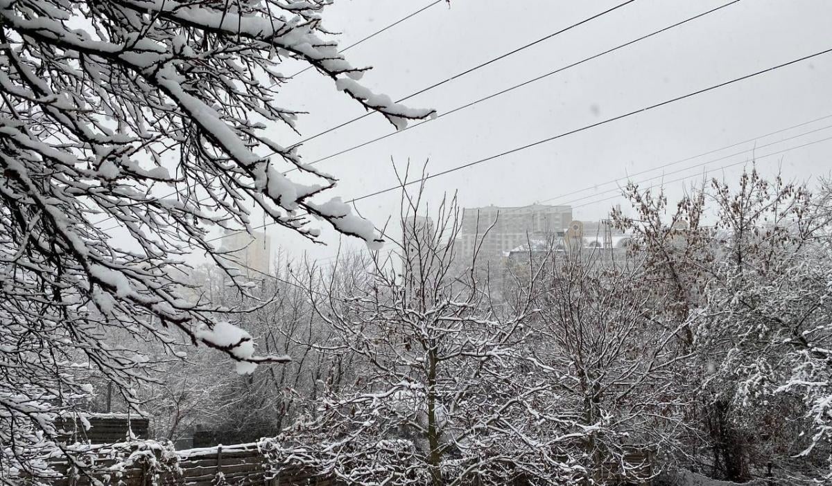 Небольшой мороз и снег: синоптики дали прогноз на сегодня