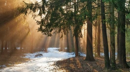 Синоптики дали прогноз на початок першого тижня весни