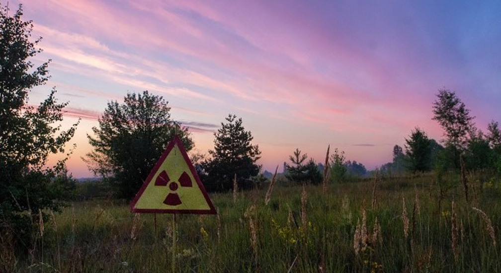 Фермеры могут вернуться: земли вокруг Чернобыля стали снова пригодны для сельского хозяйства