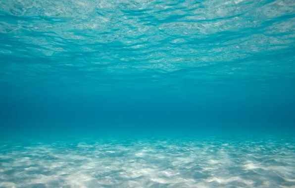 Исследователи наблюдали менее 0,001% глубоководного морского дна