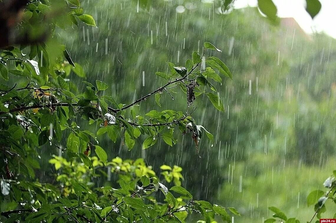 Осадки вероятны не во всех областях: прогноз погоды на сегодня