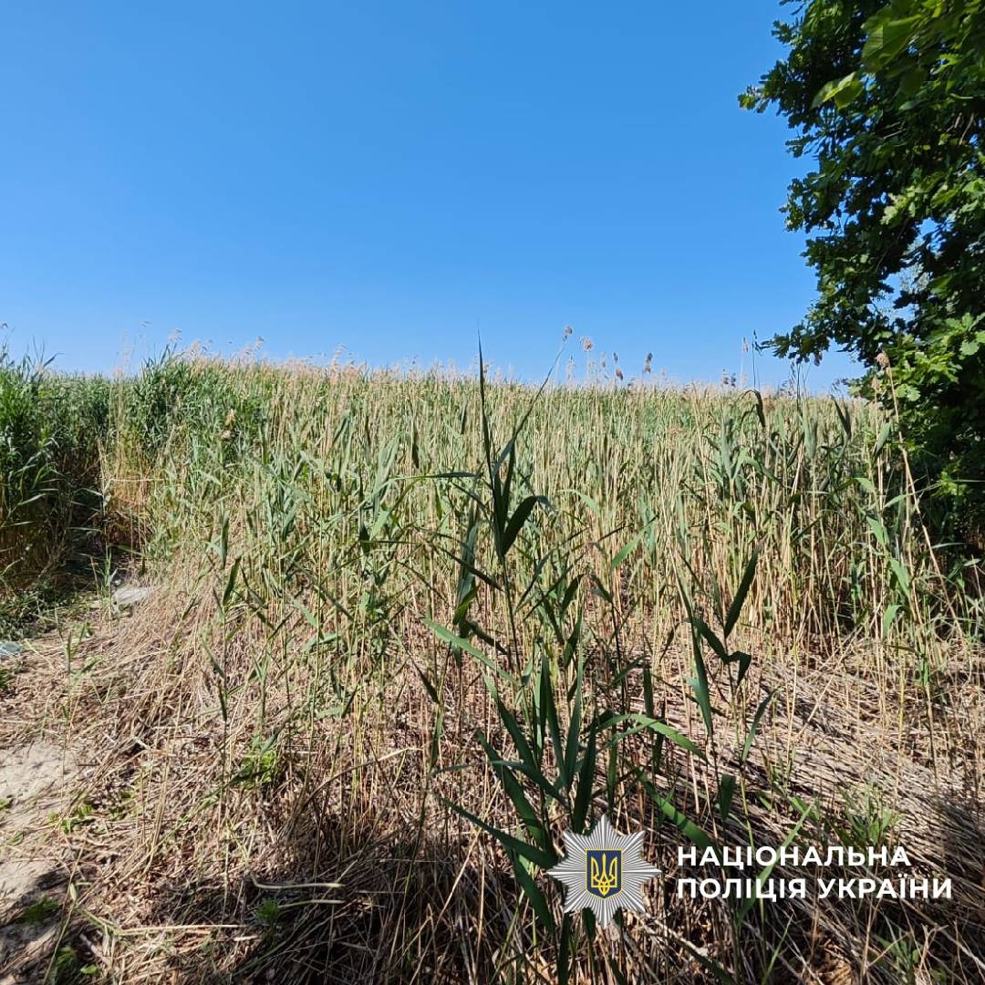 На Харківщині чоловік під час відпочинку біля водоймища підірвався на невідомому предметі