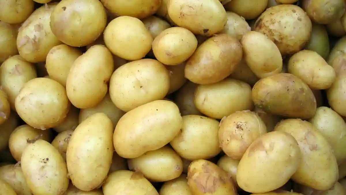 Ціни на картоплю нового врожаю знижуються: скільки коштує кілограм