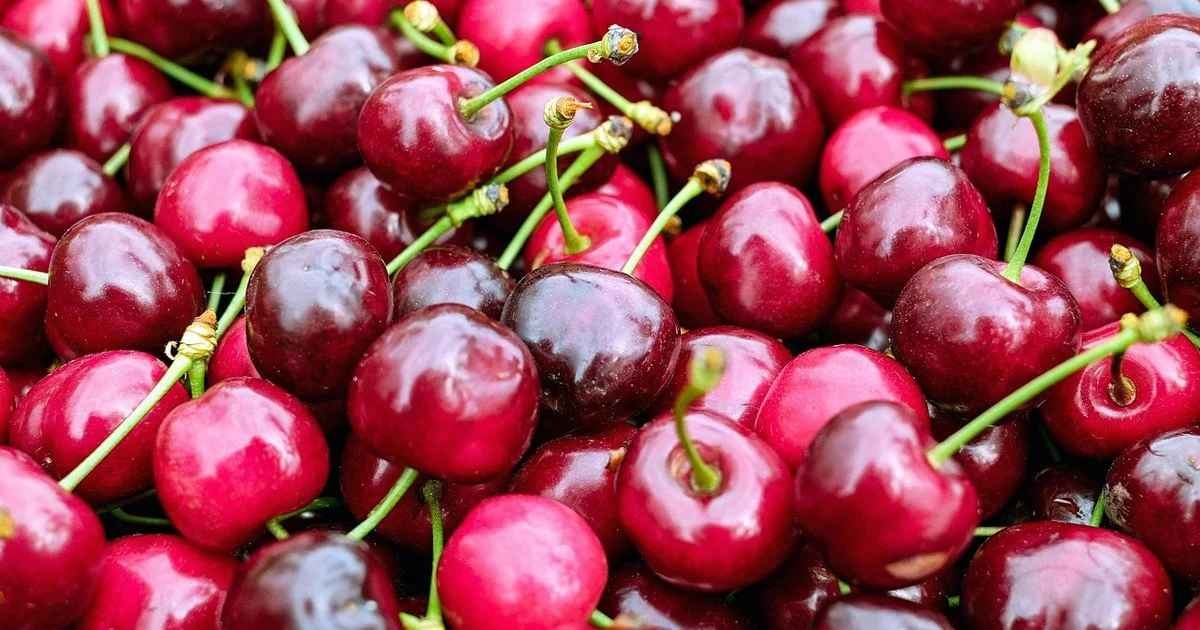 Ціни на черешню у розпал сезону: скільки коштує кілограм