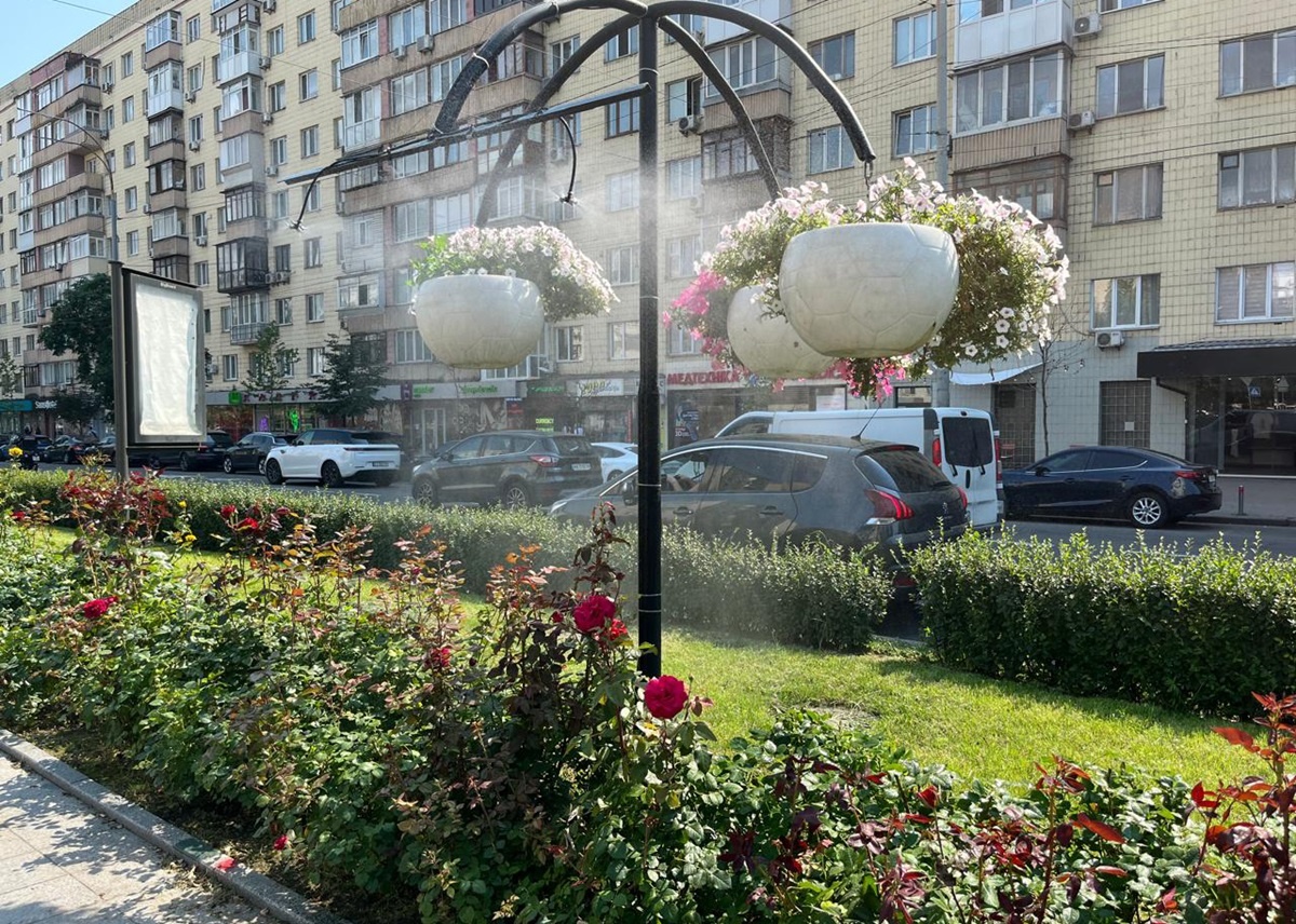 жара