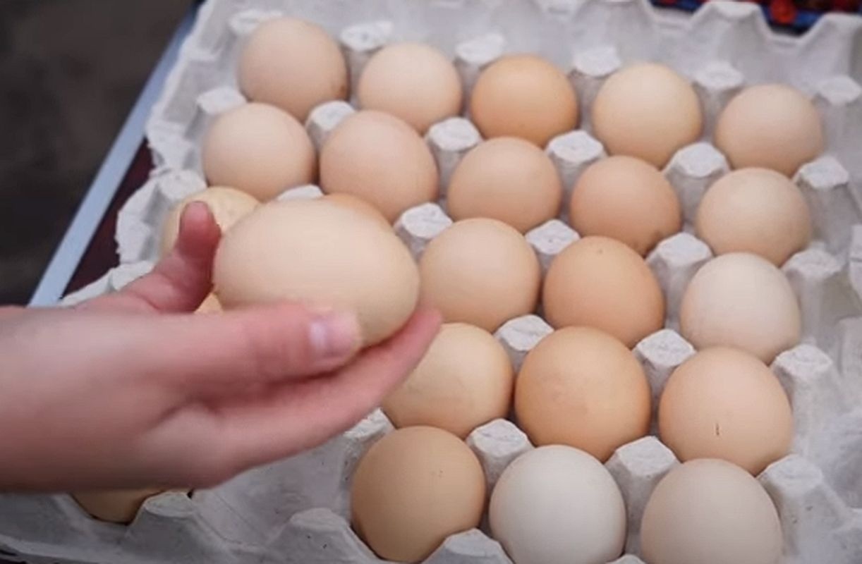 Цены на продукты: почему дорожают яйца