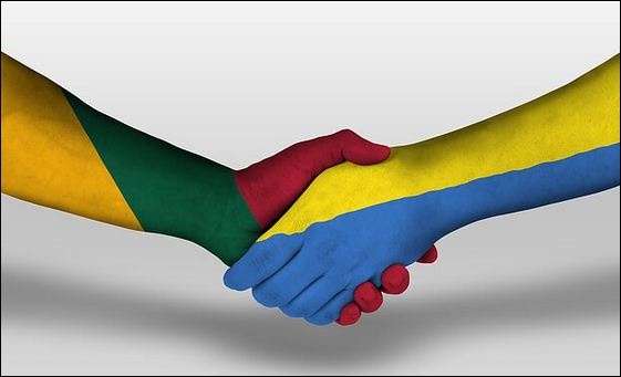 Литва поможет купить Patriot для Украины: министр огласила сумму взноса