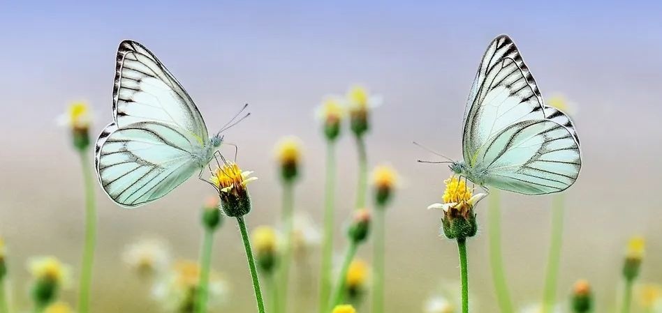 Спека залишає Україну: прогноз на 8 серпня