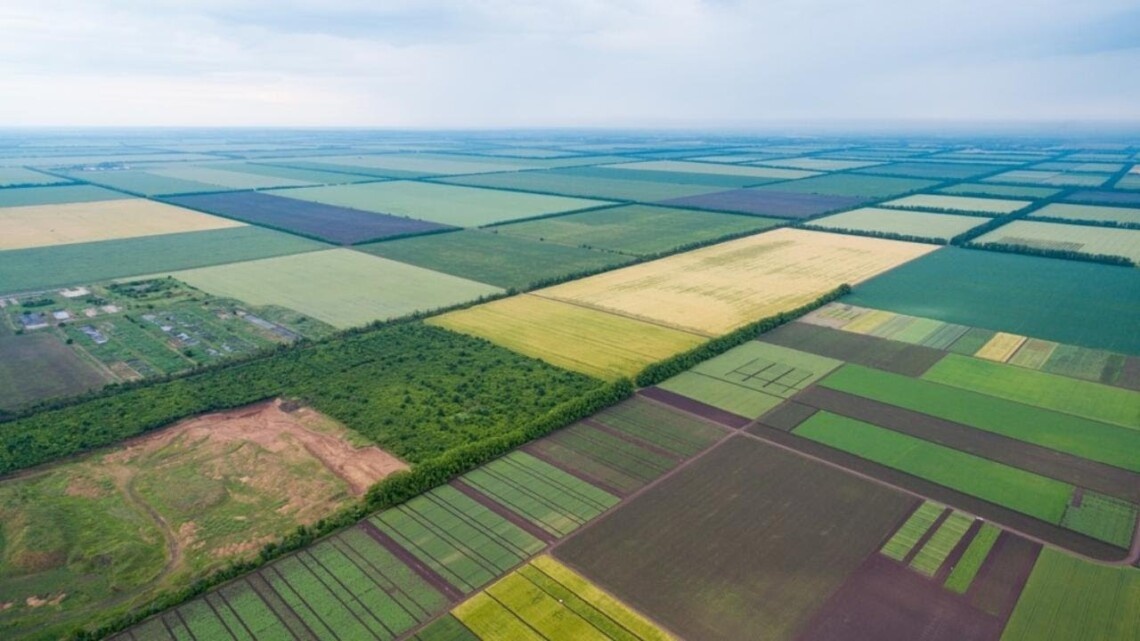 Ціни на землю в Україні зростають: скільки зараз коштує гектар