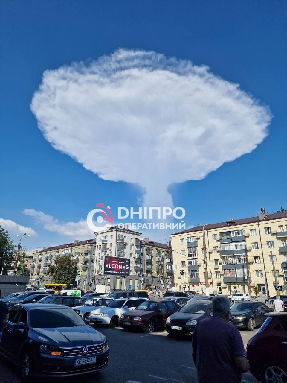 гриб