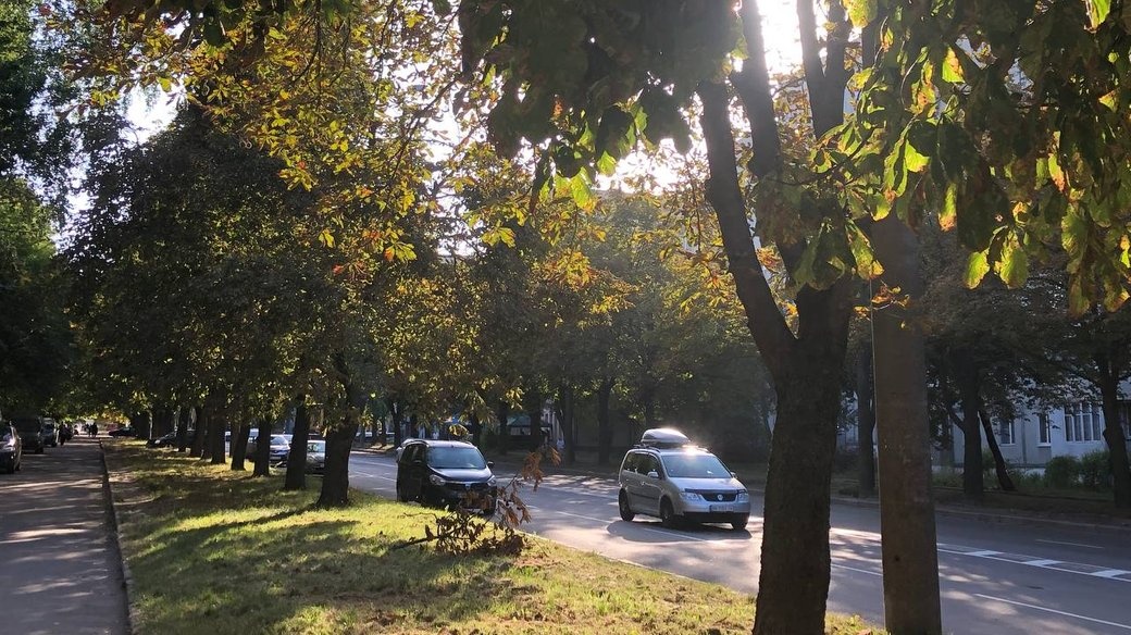 Бабине літо в Україні: який характер погоди домінуватиме