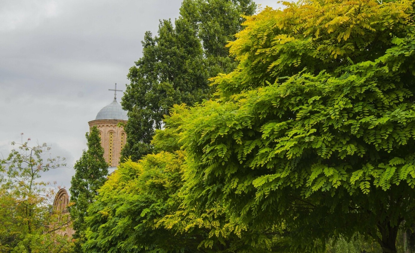 Подекуди короткочасний дощ: синоптики розповіли, де сьогодні буде сиро