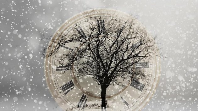 Эти четыре знака зодиака изменят свою судьбу 2026 года: их ждет большой успех