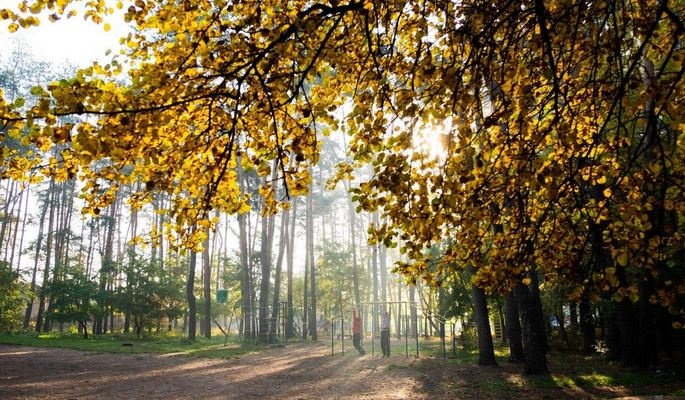 В Україні трохи потеплішає: прогноз на 16 жовтня