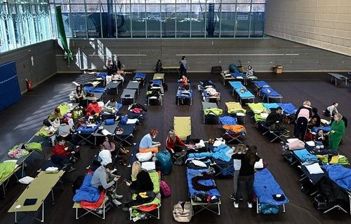 В Германии среди украинских беженцев обнаружили сотни граждан Венгрии