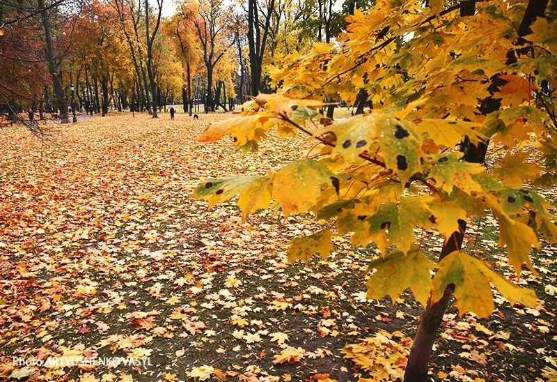 Дожди и усиление ветра: прогноз погоды на сегодня