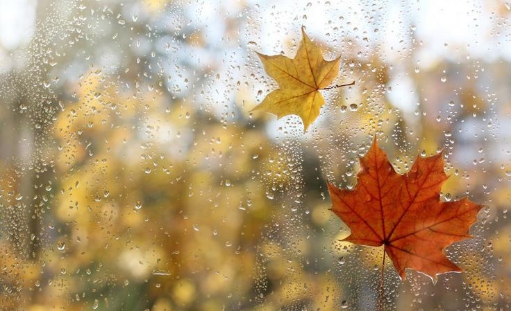 29 жовтня погода в Україні почне змінюватися