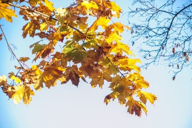 Синоптик уточнила, коли до України повернеться тепло