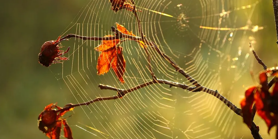 30 жовтня в Україну прийде потепління