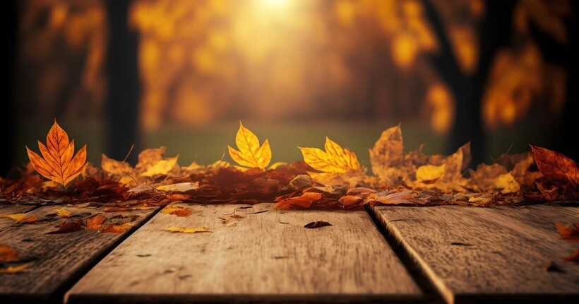 Синоптики рассказали, каким будет начало ноября