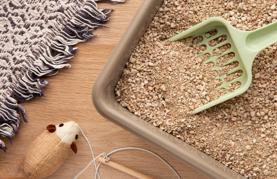 Какой наполнитель лучше: силикагелевый, древесный, комковающий или минеральный?