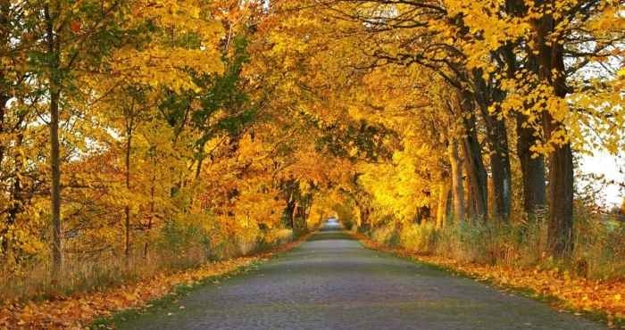 Погода в останній день жовтня: що прогнозують синоптики