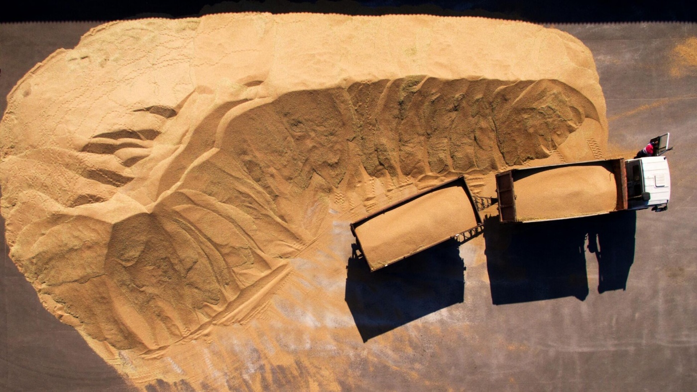 Заместителю министра РФ сообщили о подозрении из-за похищенного украинского зерна