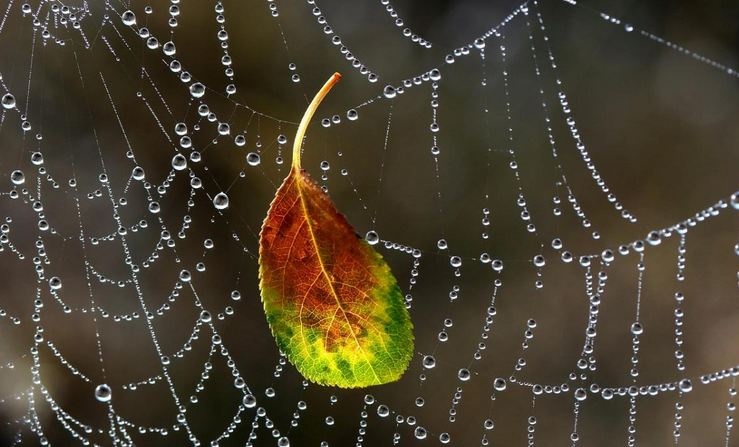 Будут солнце и дожди: прогноз на 1 ноября